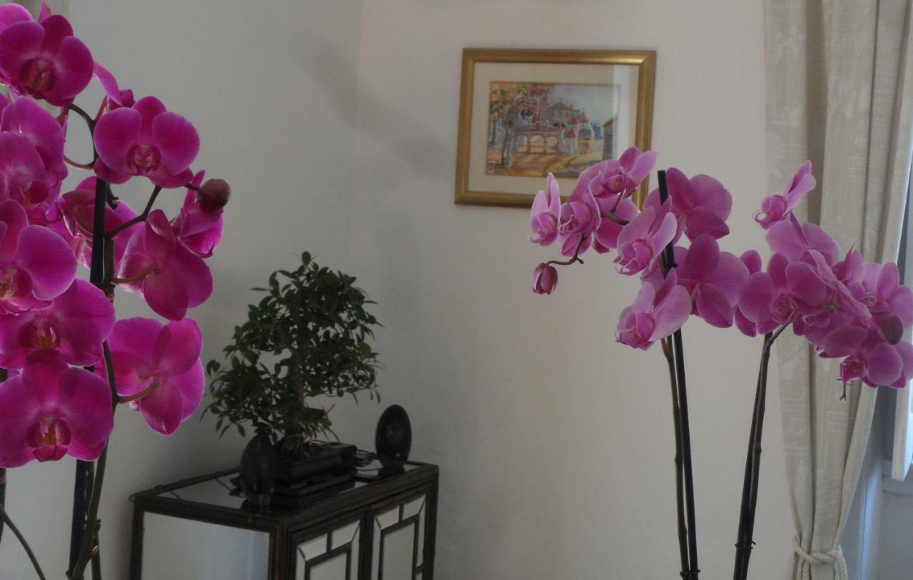 Casa Coimbra Hotel Buitenkant foto
